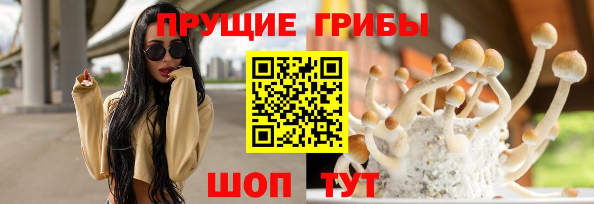 где купить наркоту  Псилоцибиновые грибы прущие грибы  Вход с VPN  Великий Новгород  Галлюциногенные грибы Cubensis 