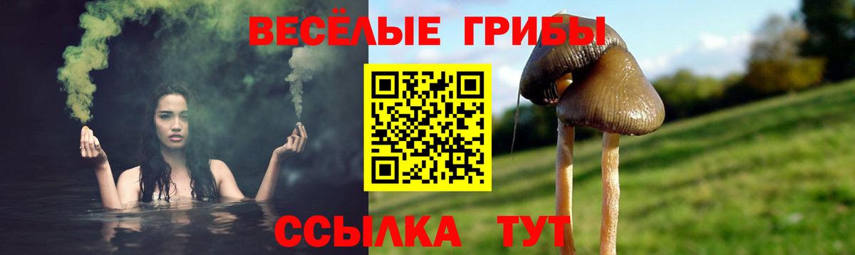 Галлюциногенные грибы Cubensis Великий Новгород